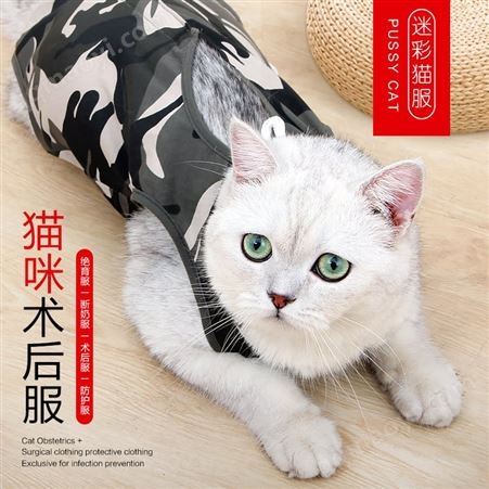 YA001B0051亞馬遜寵物用品貓咪絕育服貓術(shù)后服排扣款斷奶服防舔迷彩家居服