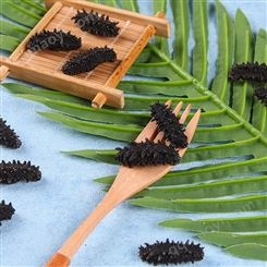 俄羅斯淡干海參銷售-淡干海參大量供應-品質好-產量高
