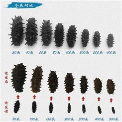 海參廠家現貨直供-俄羅斯足干海參在線選購-庫存充足