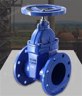 Z45X-16Q上海泸工阀门 Z45X-16Q 泸工软密封闸阀 弹性座封闸阀DN50 80 100 200-500