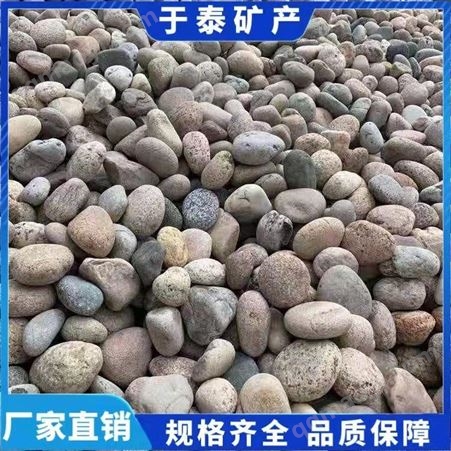 天然 河道 水处理滤料 园林工程铺路用鹅卵石 于泰供应