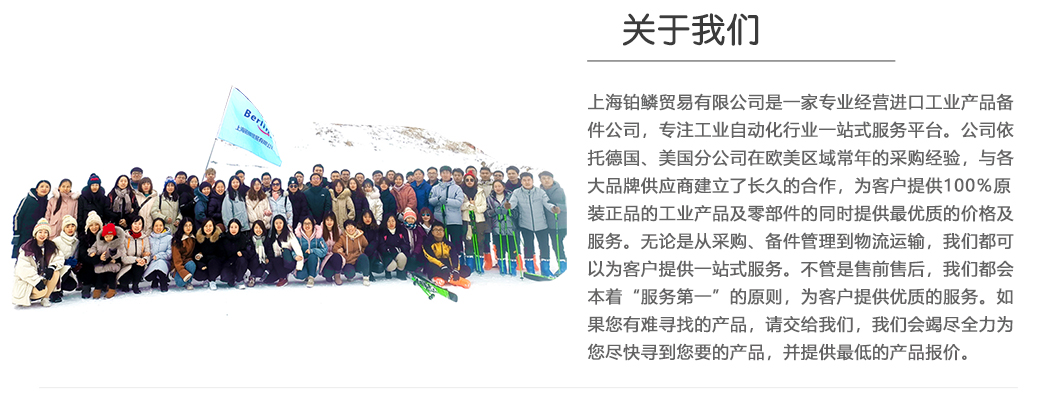 上海铂鳞贸易有限公司-关于我们
